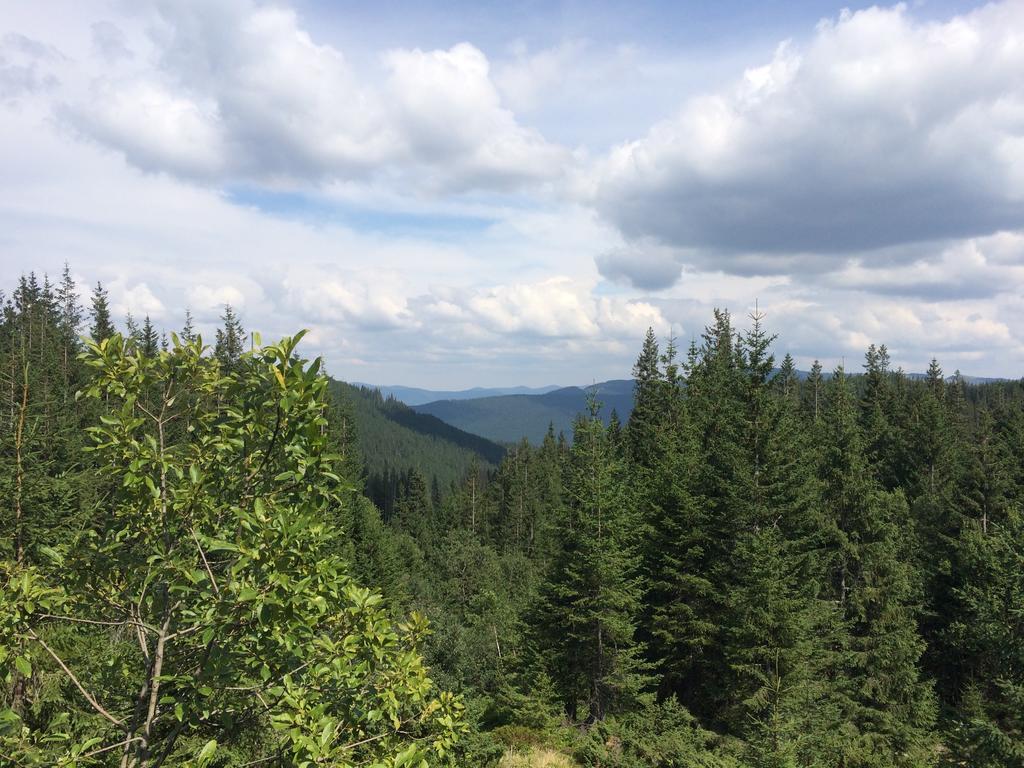 Lodge Pidstromom