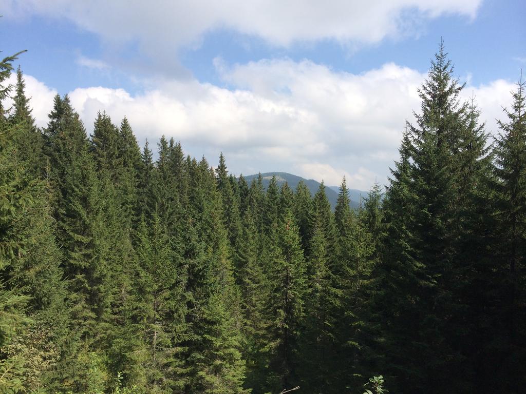 Lodge Pidstromom Mykulychyn